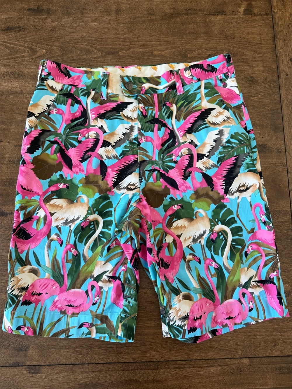 Loudmouth - Men's Flamingo Print Shorts in Pink, Blue & Green